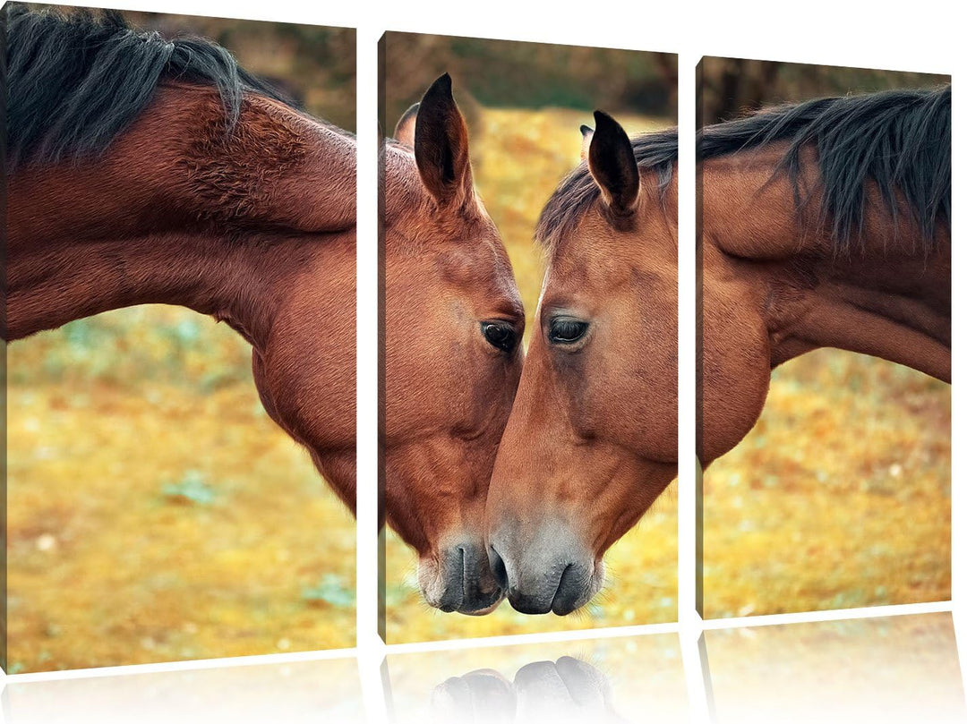 Pixxprint Zwei schmusende Pferde als Leinwandbild/Grösse: 3 Teilig (120x80 cm) cm/Wandbild/Kunstdruc