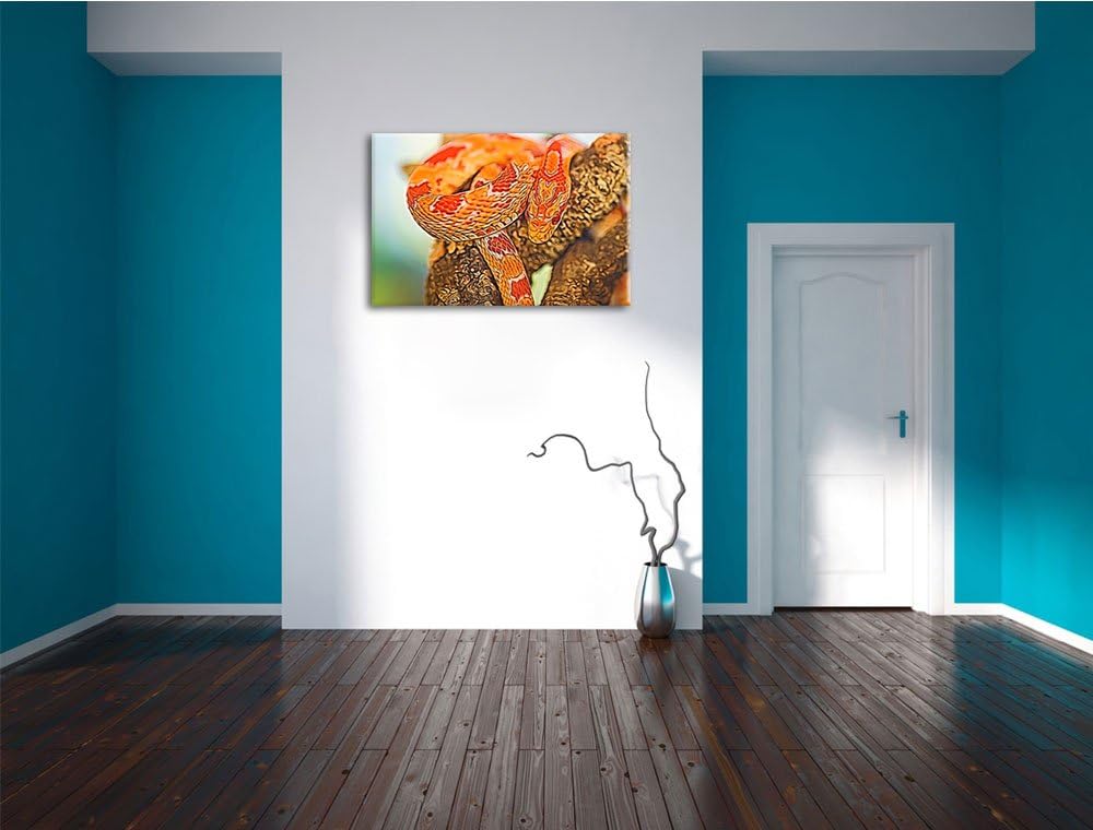 ruhende Kornnatter Deluxe Format: 100x70 cm auf Leinwand, XXL riesige Bilder fertig gerahmt mit Keil
