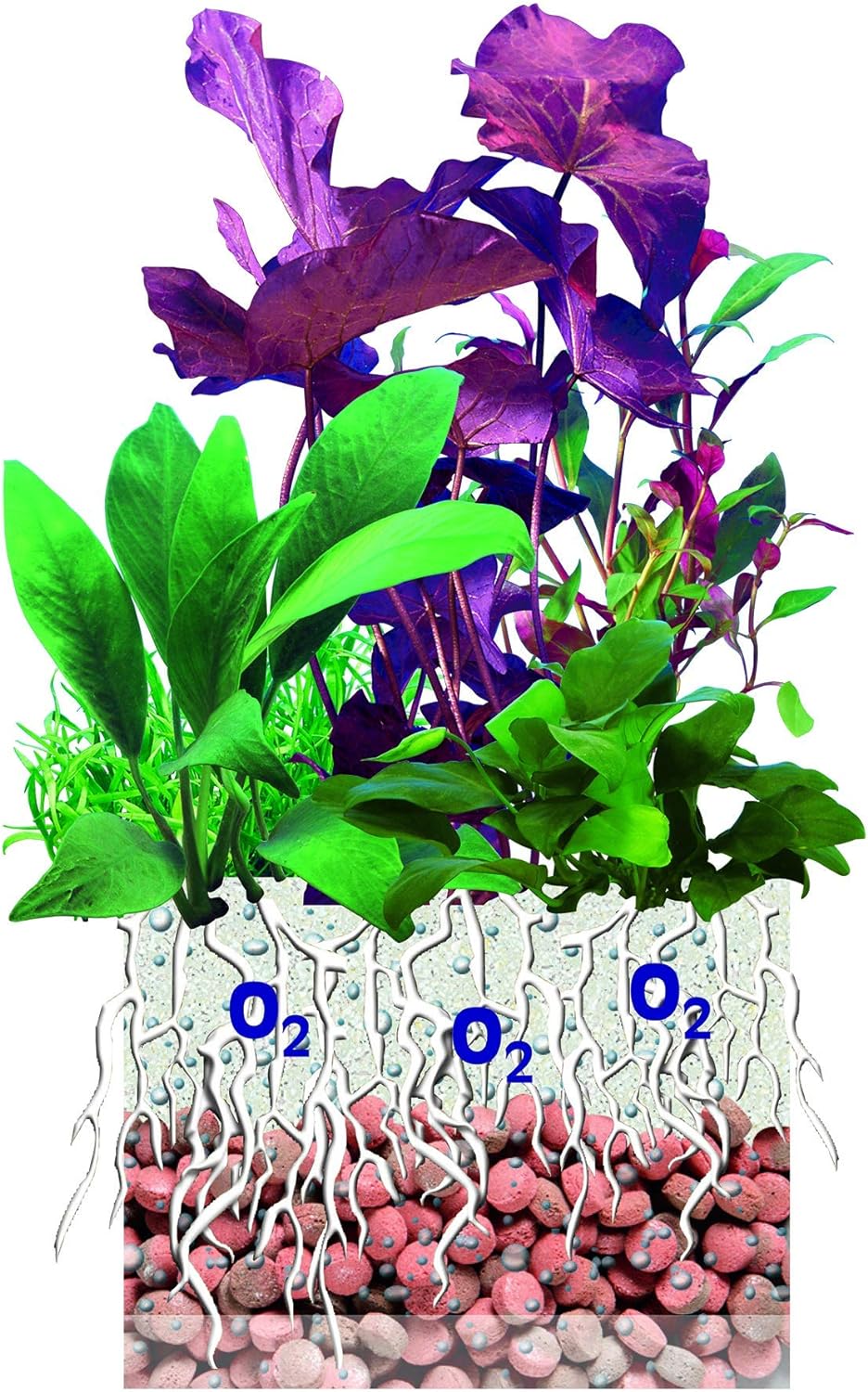 sera Professional floreground 2,2 L (1 kg) - Aktivbodengrund für einen langlebigen Aquarienboden, Bo