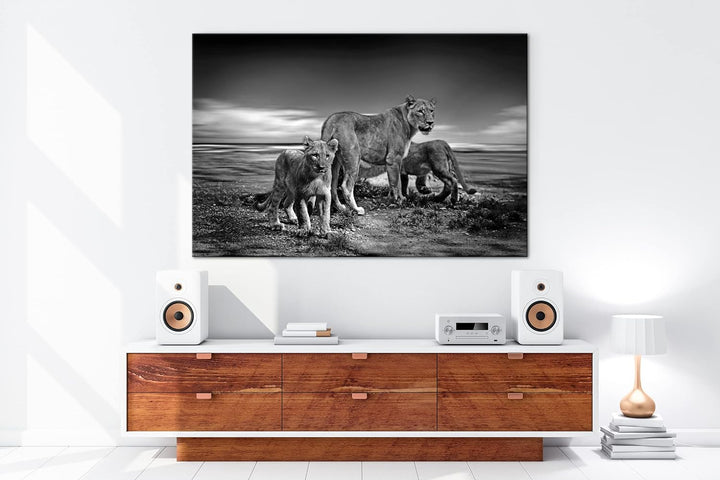 deyoli zauberhafte Löwenfamilie Format: 60x40 Effekt: Schwarz&Weiss als Leinwandbild, Motiv fertig g
