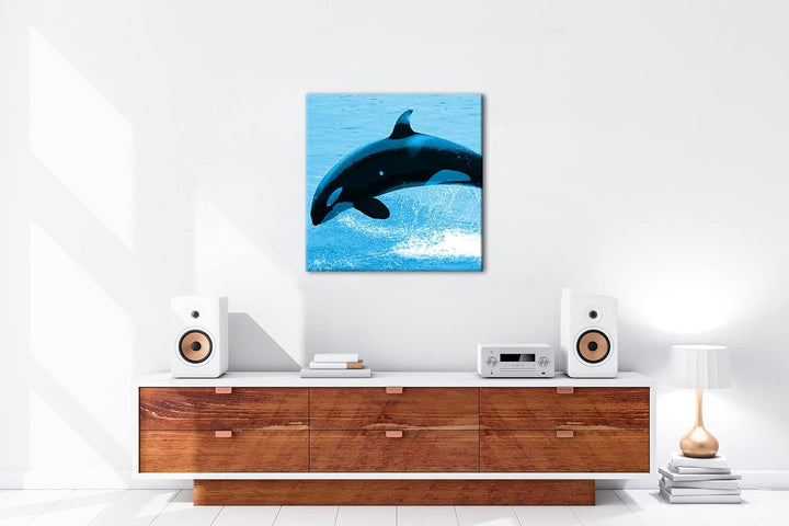 deyoli verspielter Orca Format: 70x70 Effekt: Zeichnung als Leinwandbild, Motiv auf Echtholzrahmen,