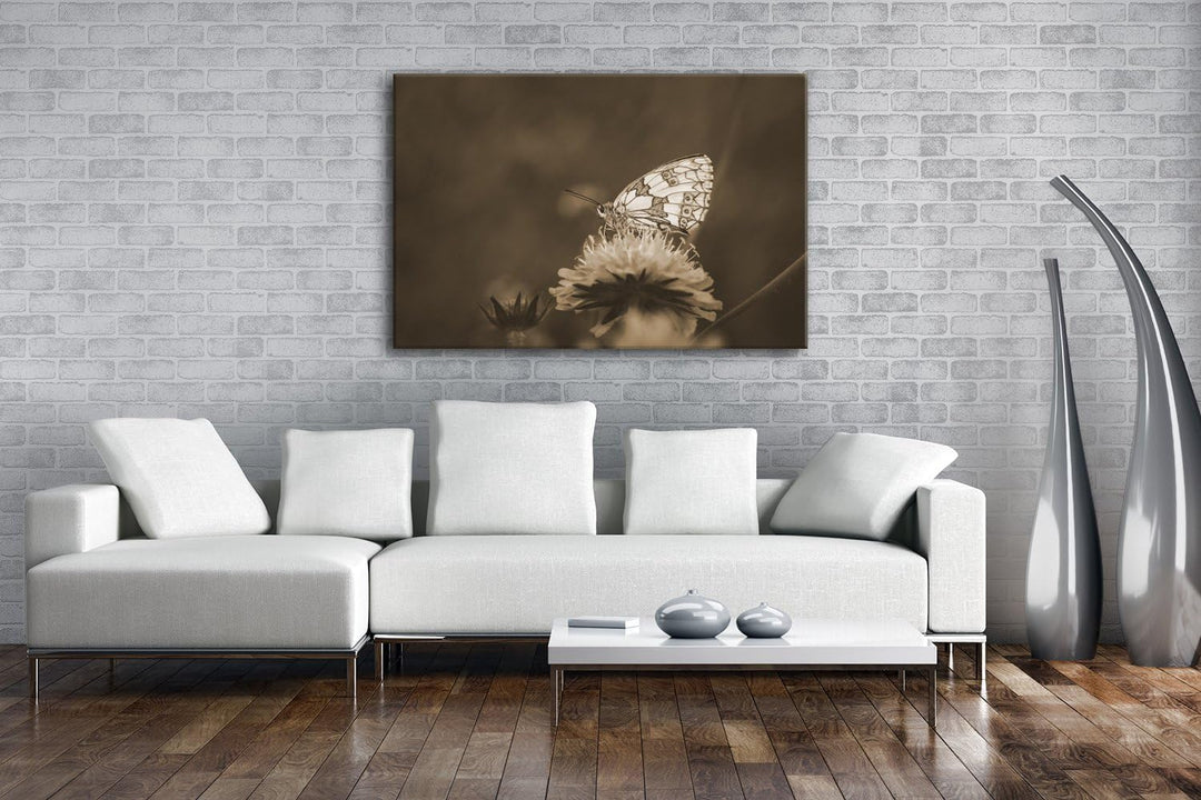 deyoli ruhiger Schmetterling Format: 80x60 Effekt: Sepia als Leinwandbild, Motiv fertig gerahmt auf