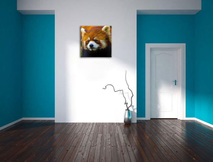 Roter Pandabär auf Ast, Format: 70x70 auf Leinwand, XXL riesige Bilder fertig gerahmt mit Keilrahmen