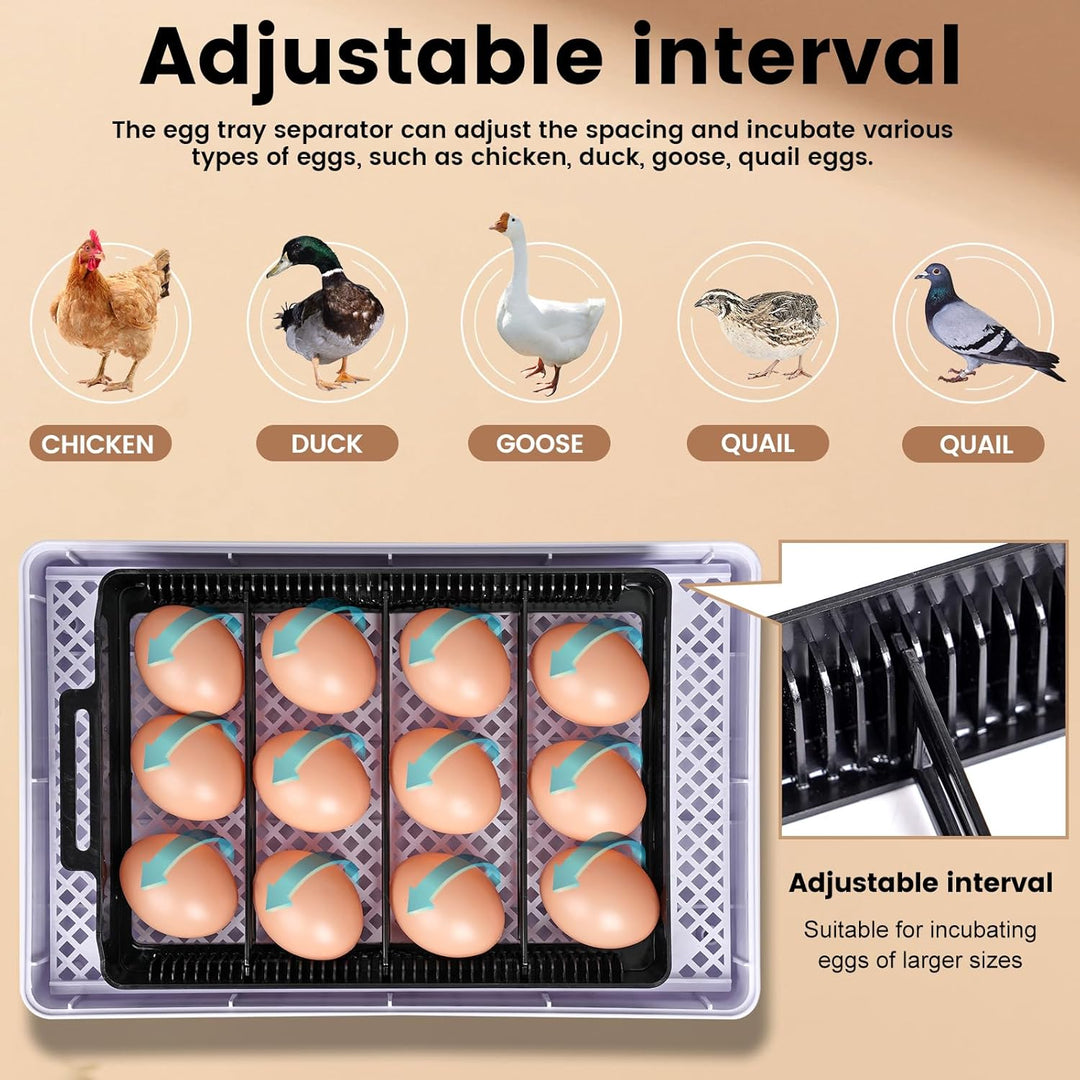 MUALROUS Brutmaschine Vollautomatisch 12 Arten Von Eierbrutschrank digitales Brutmaschine Mit Temper