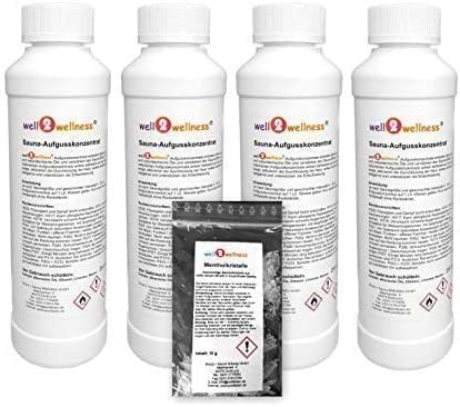 well2wellness® Saunaaufguss Set 4 x 250 ml mit Ingwer-Citro, Limette-Bambus, Mango-Maracuja, Grapefr