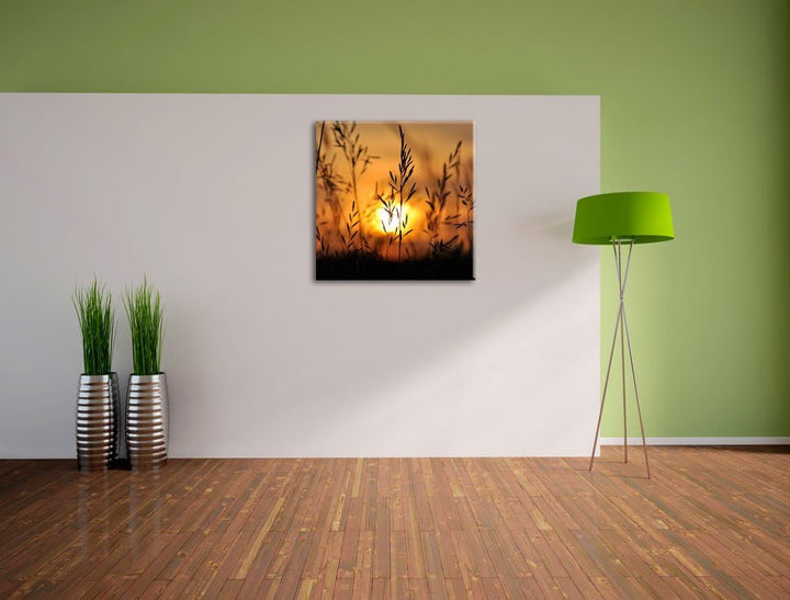 Gras bei Sonnenuntergang, Format: 70x70 auf Leinwand, XXL riesige Bilder fertig gerahmt mit Keilrahm