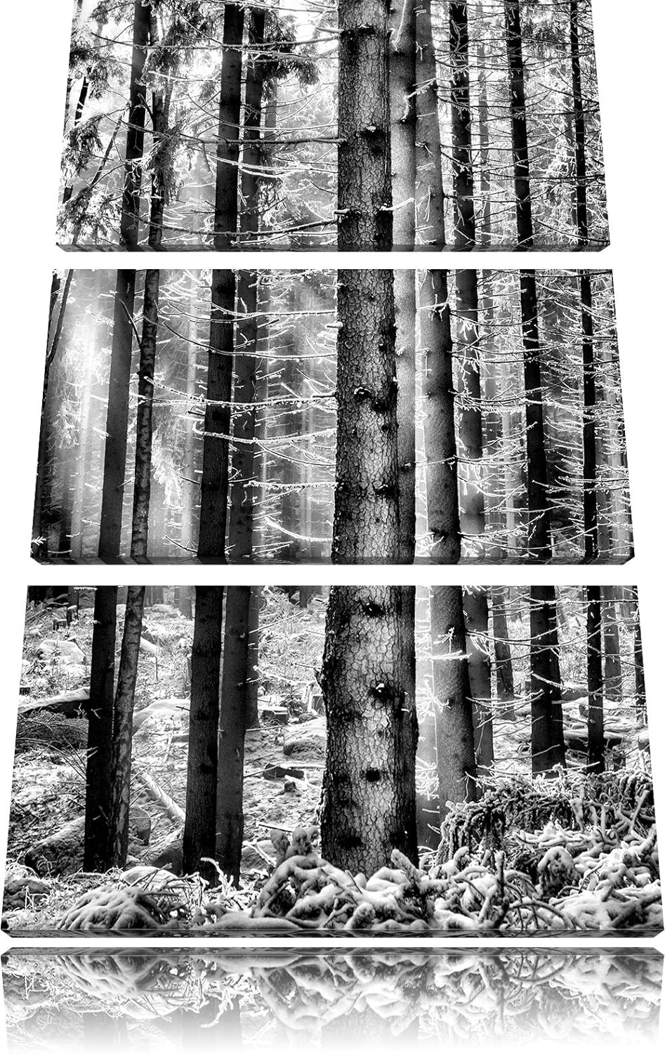 Pixxprint Winterwald als Leinwandbild/Grösse: 3 Teilig (120x80) cm/Wandbild/Kunstdruck/fertig bespan