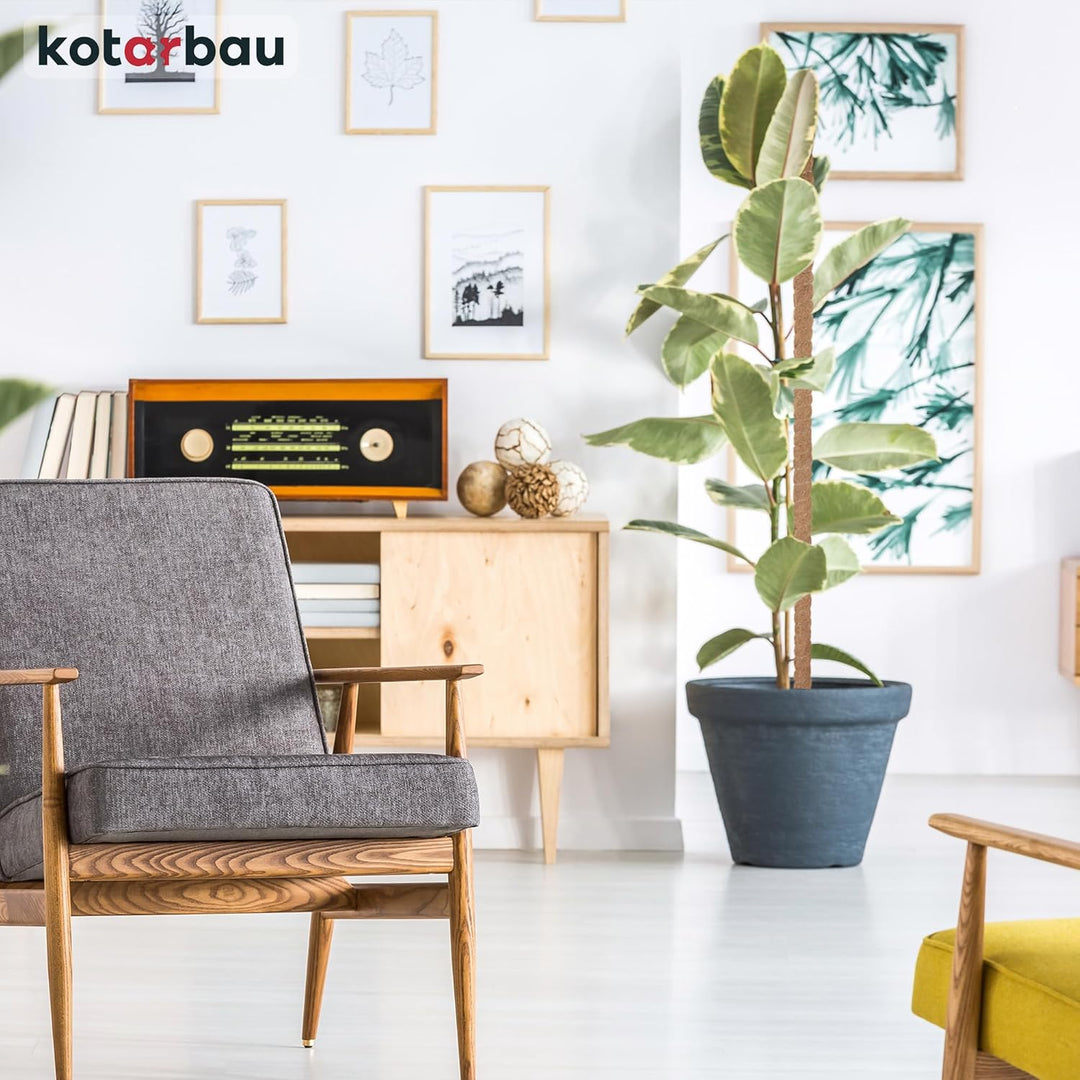 KOTARBAU® 4er Set Moosstab für Monstera Kokos Natural ⌀3,2 x 150cm Pflanzenstab Rankhilfe für Monste