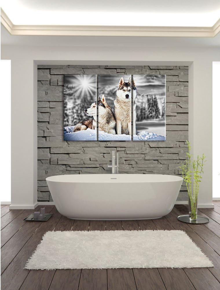 Pixxprint Zwei Wilde Huskies als Leinwandbild/Grösse: 3 Teilig (120x80 cm) cm/Wandbild/Kunstdruck/fe
