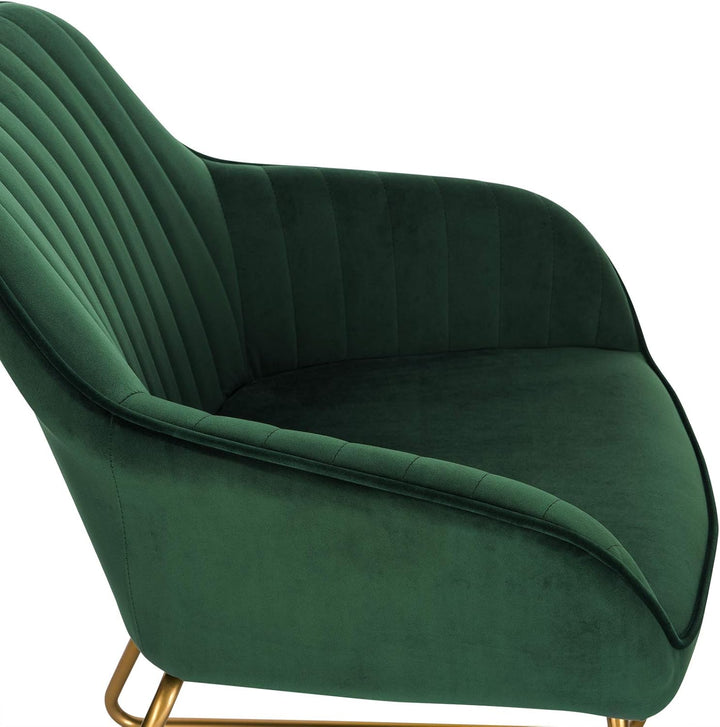 WOLTU Esszimmerstühle 2er Set Küchenstühle Wohnzimmerstühle Polsterstühle Sessel, Armlehnstühle mit