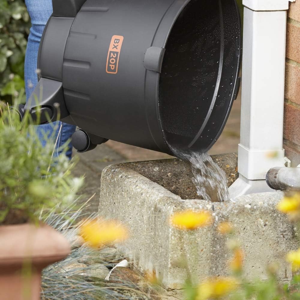 BLACK+DECKER Nass und Trockensauger BXVC20PTE mit Integrierte Steckdose für Elektrowerkzeug (1200 W,