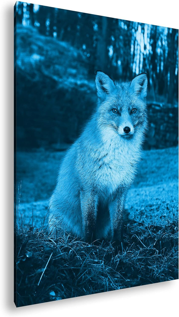 deyoli süsser Fuchs im Wald Format: 80x60 Effekt: Monocrome Blau als Leinwand, Motiv fertig gerahmt