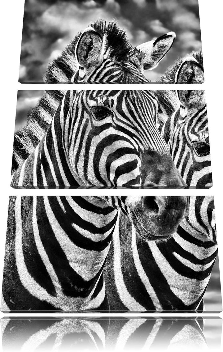 Pixxprint Zebra Pärchen als Leinwandbild/Grösse: 3 Teilig (120x80) cm/Wandbild/Kunstdruck/fertig bes