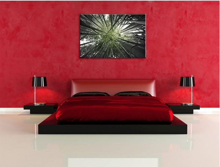 Grüner Bambus B&W Detail, Format: 100x70 auf Leinwand, XXL riesige Bilder fertig gerahmt mit Keilrah