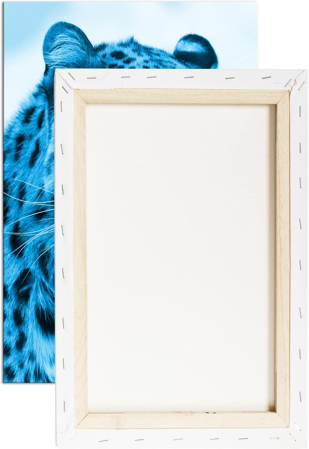 deyoli süsser Leopard Format 80x60 Effekt: Monocrome Blau als Leinwandbild, Motiv fertig gerahmt auf