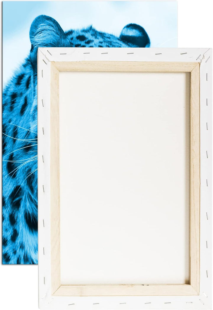 deyoli süsser Leopard Format 80x60 Effekt: Monocrome Blau als Leinwandbild, Motiv fertig gerahmt auf