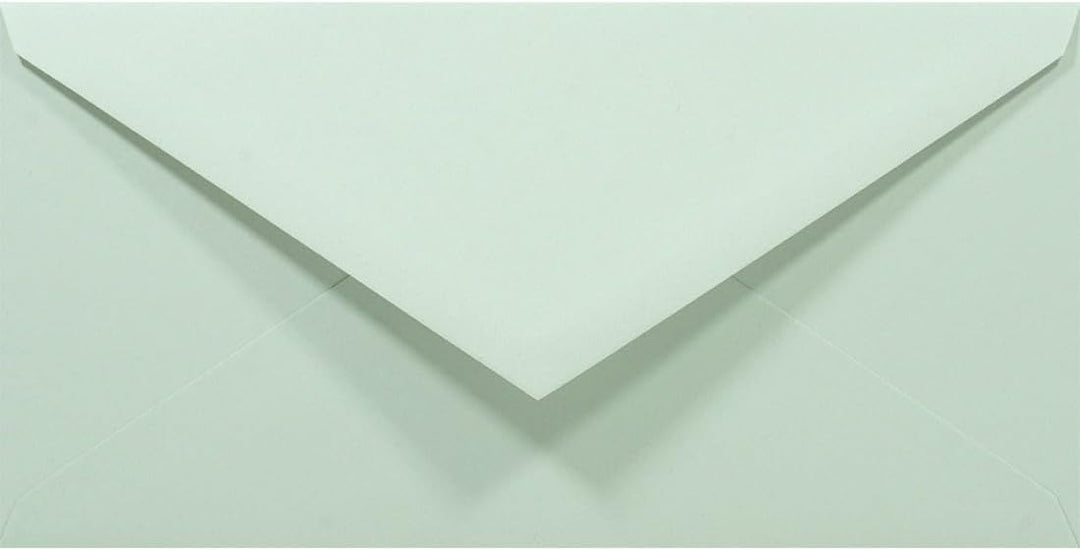 Netuno 100 Briefumschläge Pastell-Grün DIN lang 110x220 mm 80g Rainbow Briefkuverts farbig lang grün