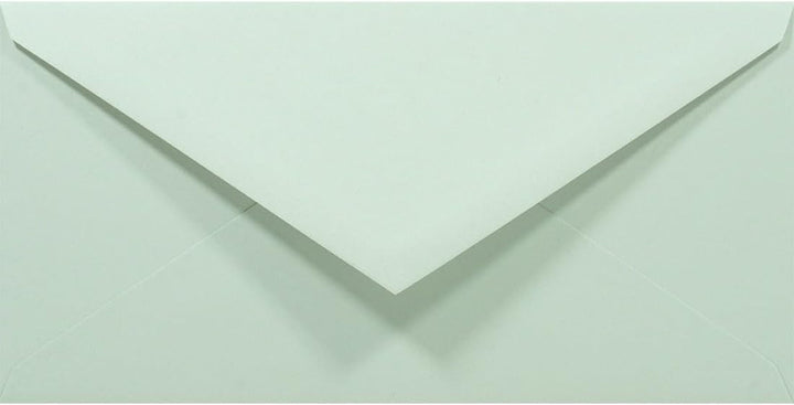 Netuno 100 Briefumschläge Pastell-Grün DIN lang 110x220 mm 80g Rainbow Briefkuverts farbig lang grün