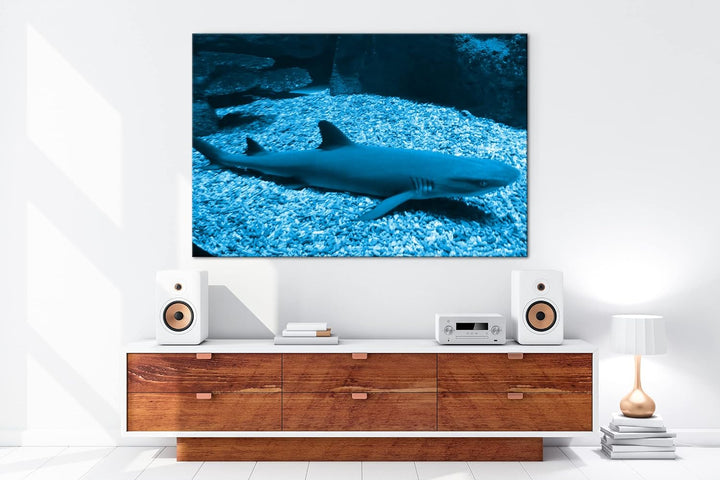 deyoli Weissspitzen Hai Format 80x60 Effekt: Monocrome Blau als Leinwandbild, Motiv fertig gerahmt a