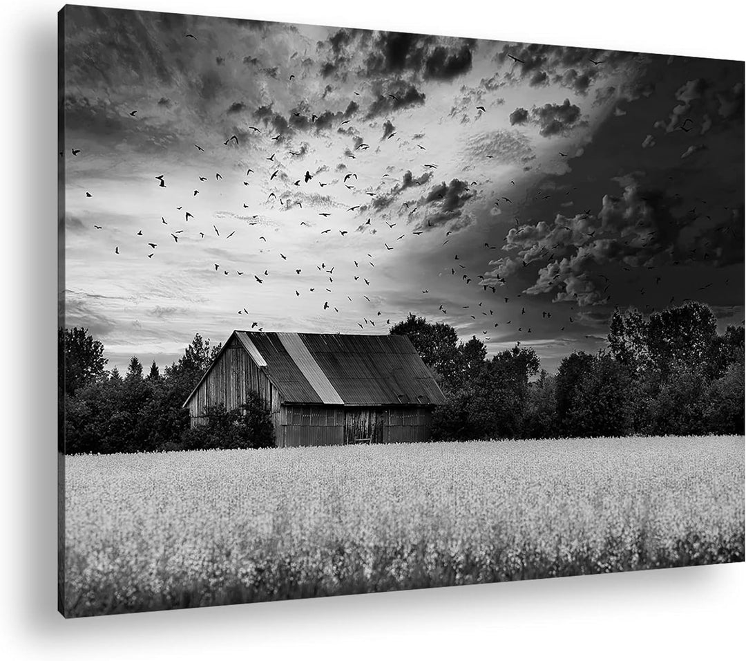 deyoli Scheune am blühendem Feld Effekt: Schwarz&Weiss Format: 60x40 als Leinwandbild, Motiv fertig
