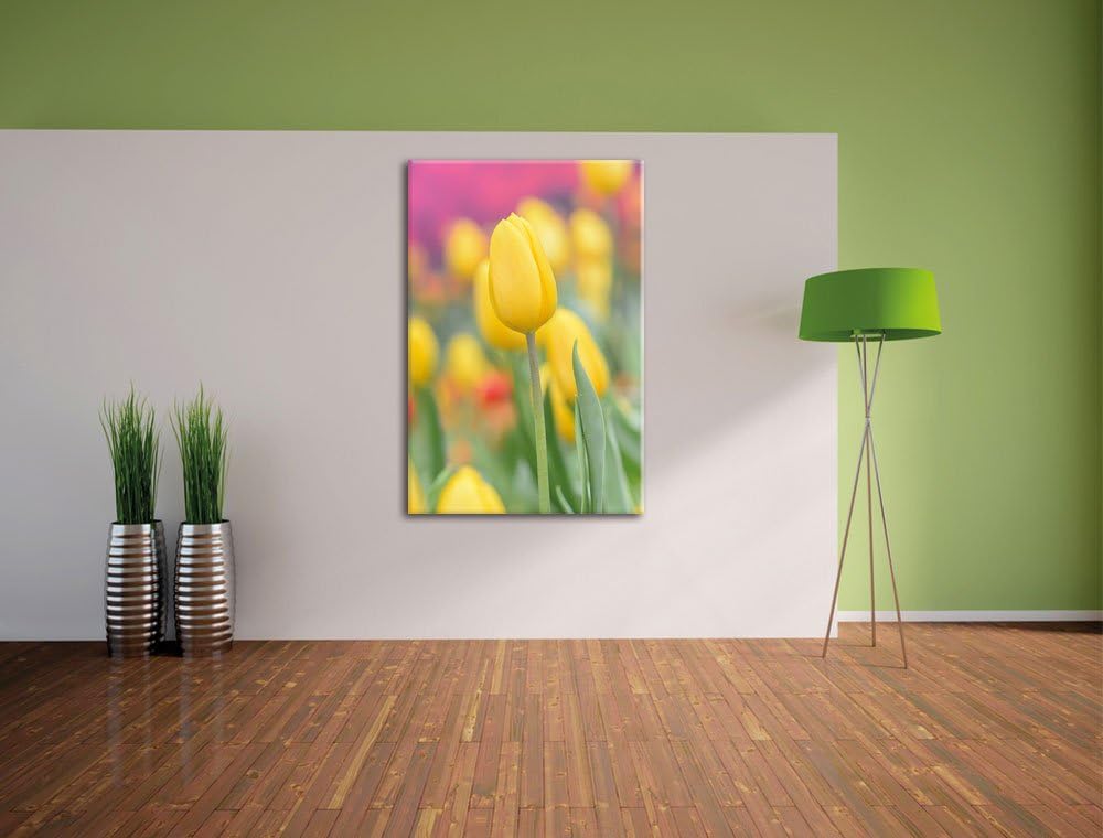 Gelbe Tulpen im Frühling, Format: 100x70 auf Leinwand, XXL riesige Bilder fertig gerahmt mit Keilrah