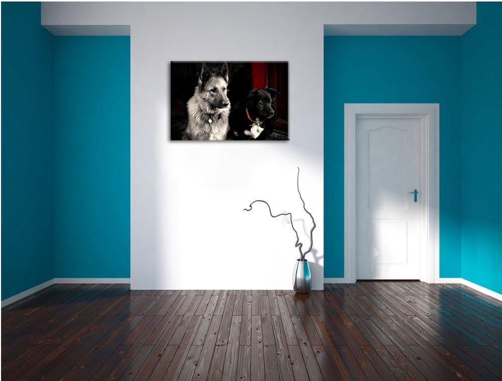 Pixxprint Zwei Hunde auf dem Teppich auf Leinwand, XXL riesige Bilder fertig gerahmt mit Keilrahmen,
