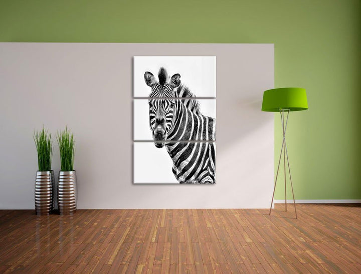 Pixxprint Zebra im Portrait als Leinwandbild/Grösse: 3 Teilig (120x80) cm/Wandbild/Kunstdruck/fertig