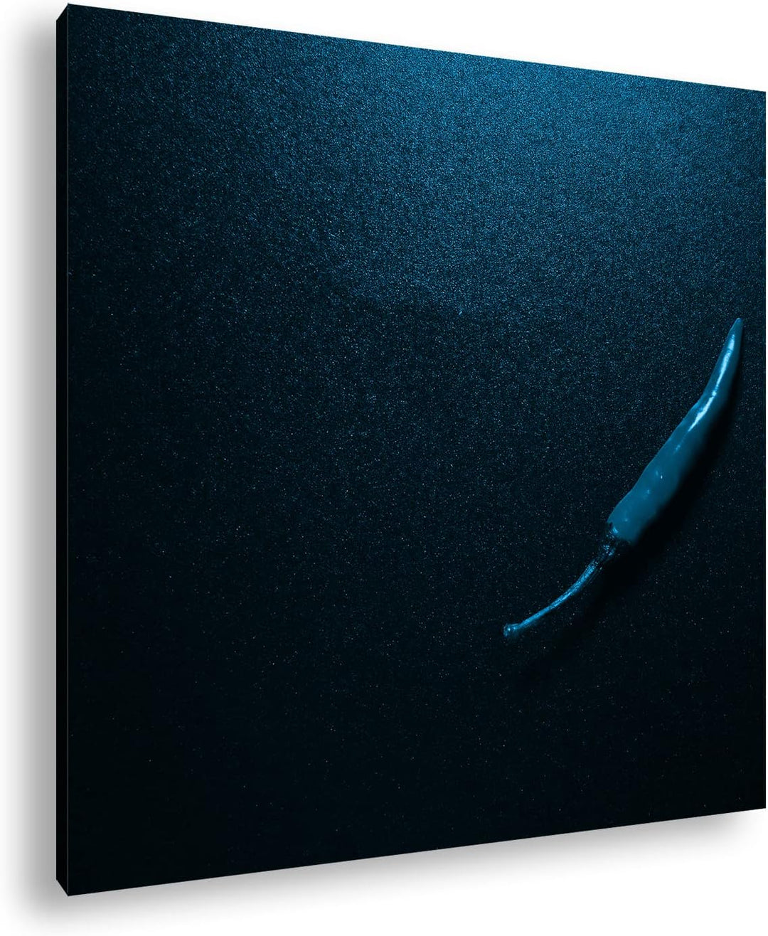 deyoli super scharfe Chilischote Format: 60x60 Effekt: Monocrome Blau als Leinwandbild, Motiv fertig