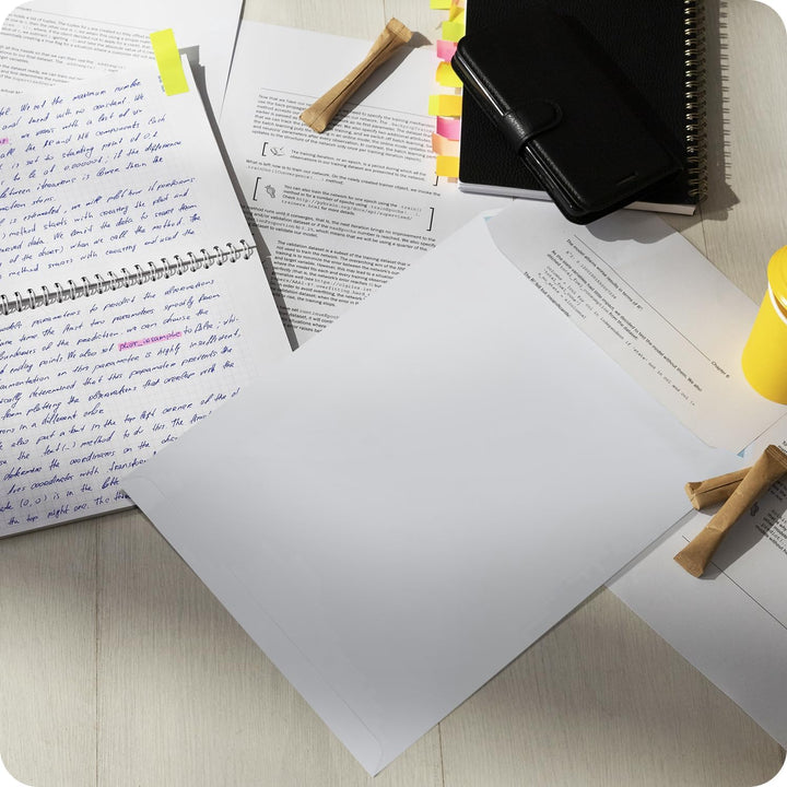 Netuno 250 Versandtaschen DIN C4 Braun 229 x 324 mm 90g braune Versandtaschen gross mit Fenster link