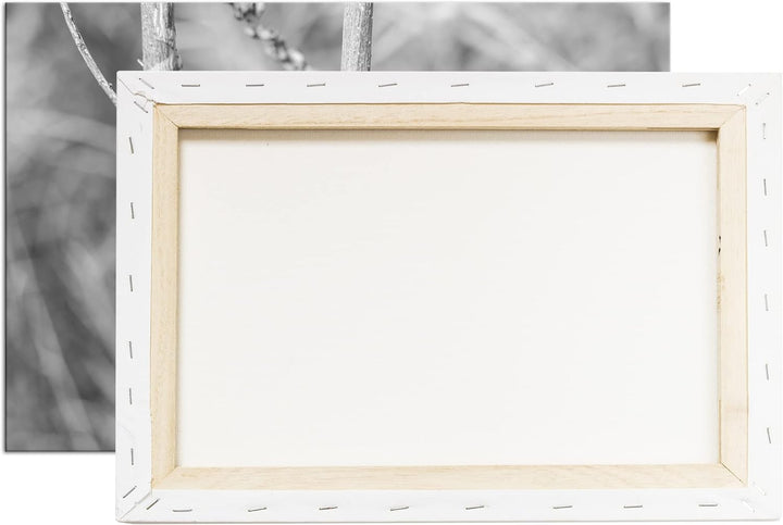 deyoli zauberhafte Drachen Libelle Format: 80x60 Effekt: Schwarz&Weiss als Leinwandbild, Motiv ferti