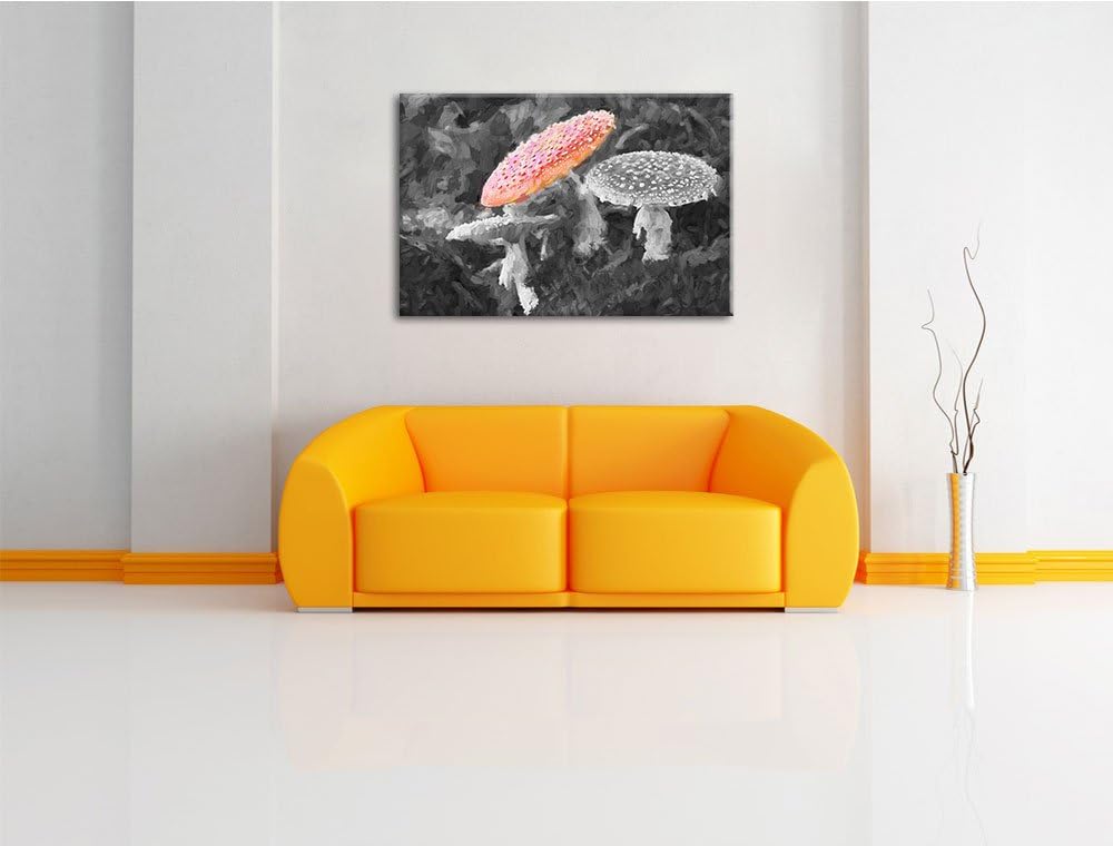 prächtige Fliegenpilze auf Waldboden schwarz/weiss Deluxe Format: 100x70 cm auf Leinwand, XXL riesig
