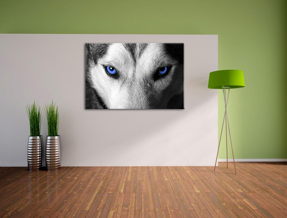 Gefährlicher Husky mit eisblauen Augen schwarz/weiss Format: 100x70 auf Leinwand, XXL riesige Bilder