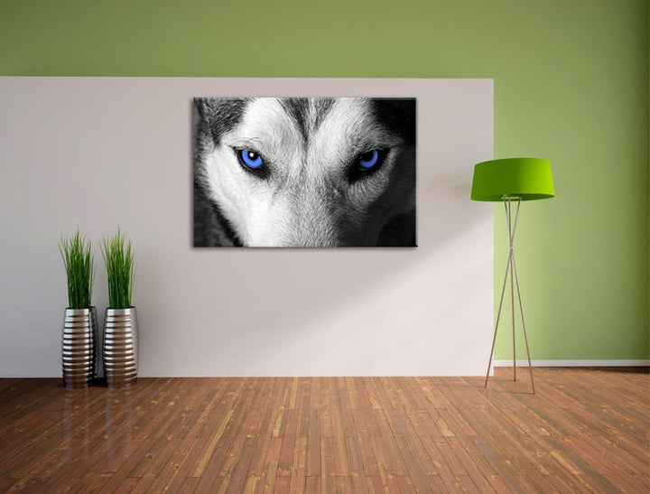 Gefährlicher Husky mit eisblauen Augen schwarz/weiss Format: 100x70 auf Leinwand, XXL riesige Bilder