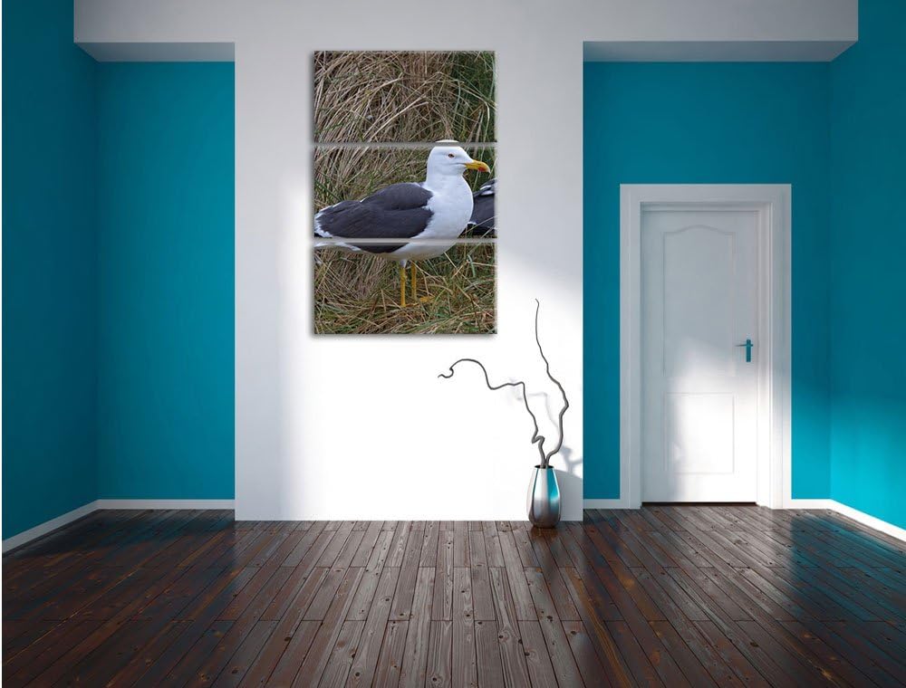 Pixxprint Zwei Möwen im hohen Gras als Leinwandbild/Grösse: 3 Teilig (120x80) cm/Wandbild/Kunstdruck