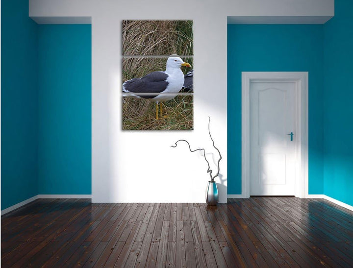 Pixxprint Zwei Möwen im hohen Gras als Leinwandbild/Grösse: 3 Teilig (120x80) cm/Wandbild/Kunstdruck