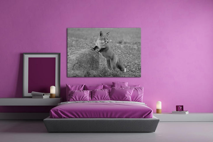 deyoli Verspielter süsser Fuchs Effekt: Schwarz/Weiss Format: 80x60 als Leinwandbild, Motiv fertig g