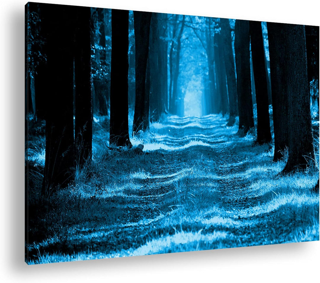 deyoli Waldweg im Herbst Format 80x60 Effekt: Monocrome Blau als Leinwandbild, Motiv fertig gerahmt
