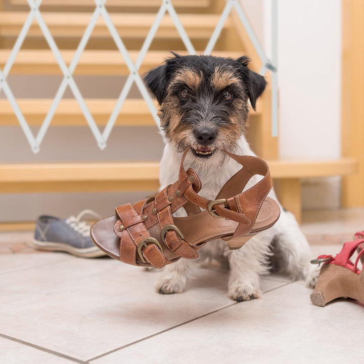 Relaxdays Hundeabsperrgitter, ausziehbar bis 118 cm, 69-82,5 cm hoch, Bambus, Hunde Schutzgitter für