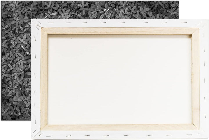 deyoli saftig grüne Kleewiese Effekt: Schwarz&Weiss Format: 80x60 als Leinwandbild, Motiv fertig ger