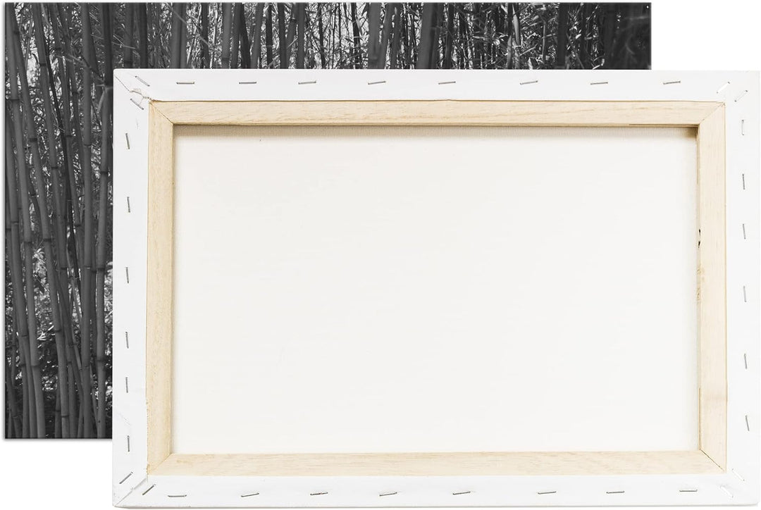 deyoli wildwachsender Bambus-Dschungel Effekt: Schwarz&Weiss,Format: 60x40 als Leinwandbild, Motiv f