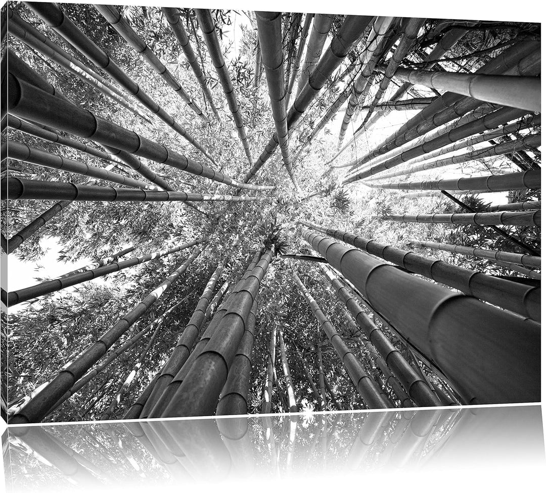 Grüner Bambus Kunst B&W, Format: 100x70 auf Leinwand, XXL riesige Bilder fertig gerahmt mit Keilrahm