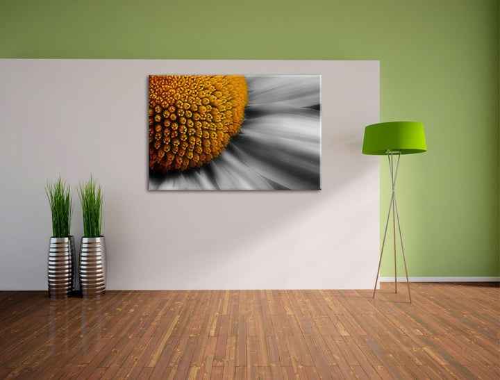 prächtige kleine Margerite schwarz/weiss auf Leinwand, XXL riesige Bilder fertig gerahmt mit Keilrah