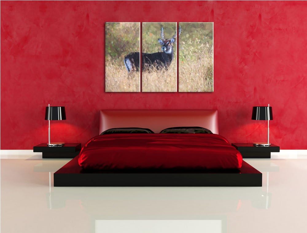 ausgewachsene Dorkasgazelle NewArt 3-Teiler Leinwandbild 120x80 Bild auf Leinwand, XXL riesige Bilde