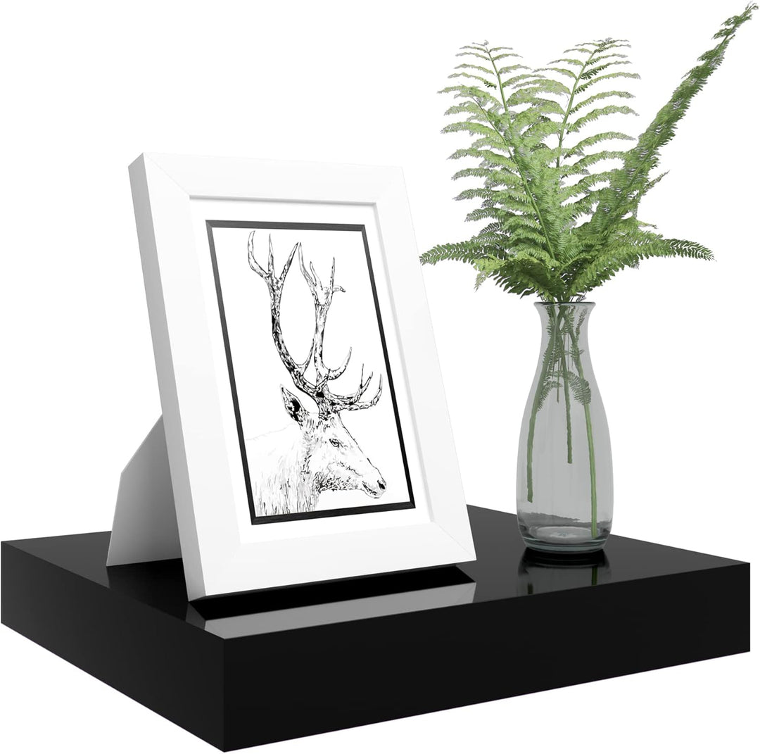 WOLTU Wandregal Volato Wandboard freischwebend hochglänzend Schwarz Schweberegal CD DVD Regal Bücher