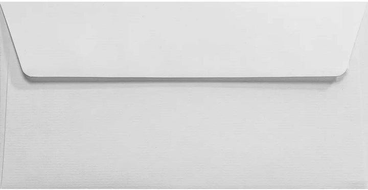 Netuno 100 Weiss DL Briefumschläge geripptes Papier 11 x 22 cm 120g Aster Laid White elegante DIN La