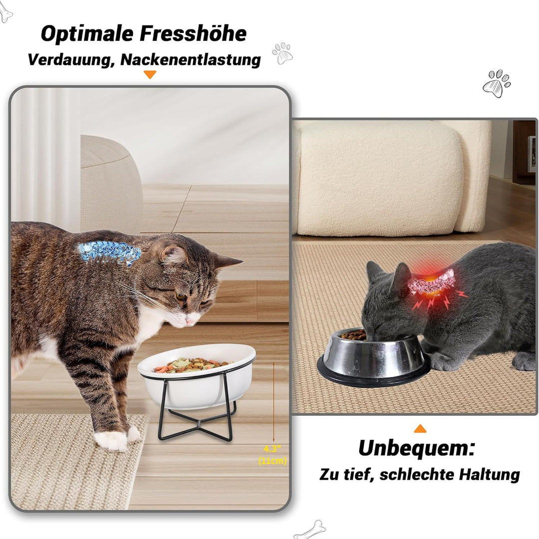 Katzennapf Hundenapf - Futternapf Katze Hund Keramik - Katzennapf Erhöht mit Ständer - Fressnapf Was