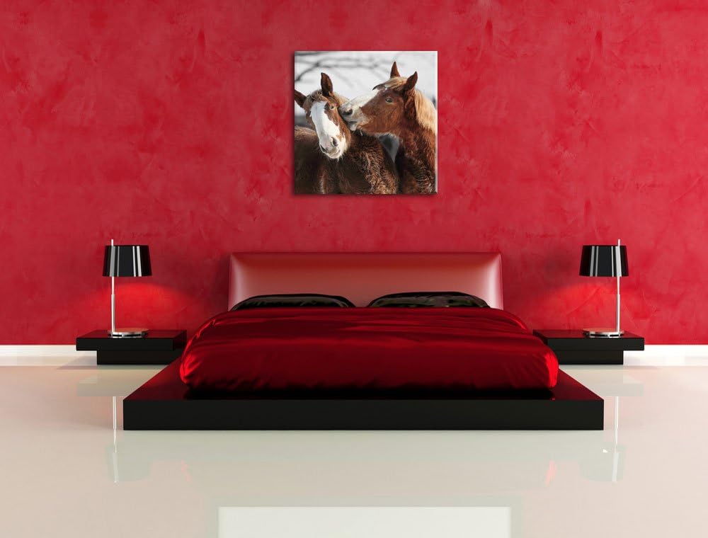 Pixxprint Zwei braune Ponys als Leinwandbild/Grösse: 70x70 cm/Wandbild/Kunstdruck/fertig bespannt, 7