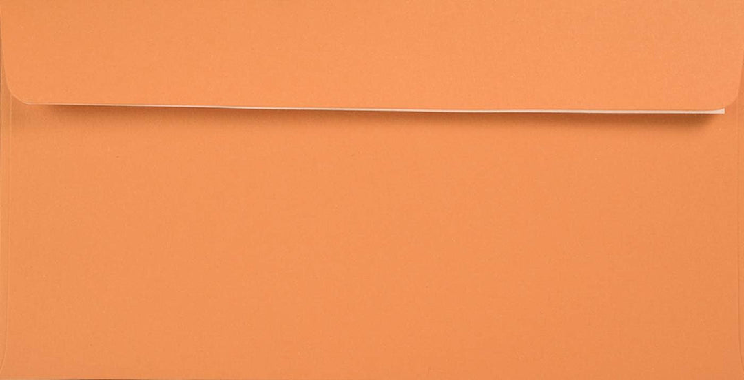 Netuno 500x Briefumschlag Orange DIN Lang 110 x 220 mm 120g Kreative Mandarin langer Umschlag DL Öko