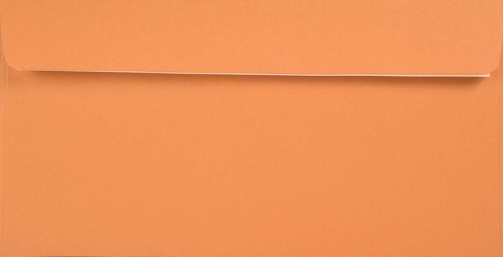 Netuno 500x Briefumschlag Orange DIN Lang 110 x 220 mm 120g Kreative Mandarin langer Umschlag DL Öko