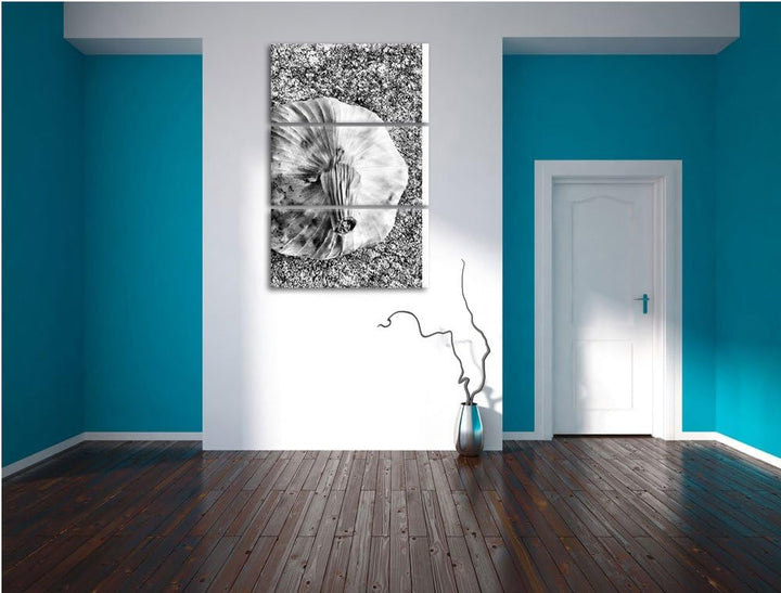 Pixxprint Zwei Knoblauchknollen als Leinwandbild/Grösse: 3 Teilig (120x80) cm/Wandbild/Kunstdruck/fe